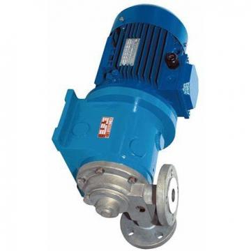 Pompe Hydraulique électrique avec valve à pédale 220V 50HZ 10152PSI 0.75KW DE