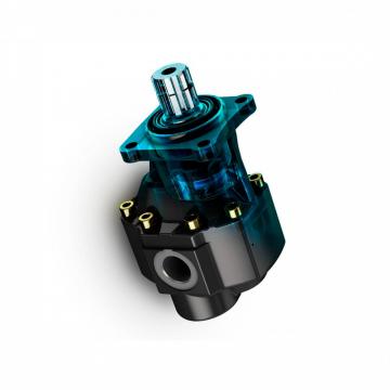 Pompe hydraulique pour Steering Gear Lauber Lau 55.8088