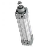 BOSCH REXROTH cylindre profilé 50x125mm pneumatique air double effet actionneur