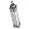 BOSCH REXROTH cylindre profilé 50x125mm pneumatique air double effet actionneur #1 small image