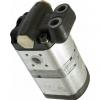 Double Pompe Hydraulique Bosch 0510665381 pour Case IH / Ihc C 55 64 70,Cs 78 86