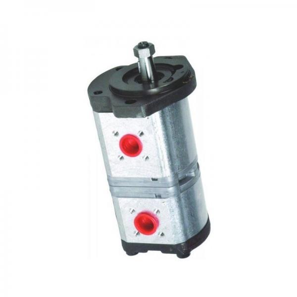 Sc Hydraulique non-Lubed Air-Driven Liquide Pompe ,Pn : 10-6000W050 95:1 (New En #1 image
