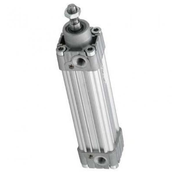 BOSCH REXROTH cylindre profilé 50x125mm pneumatique air double effet actionneur #1 image