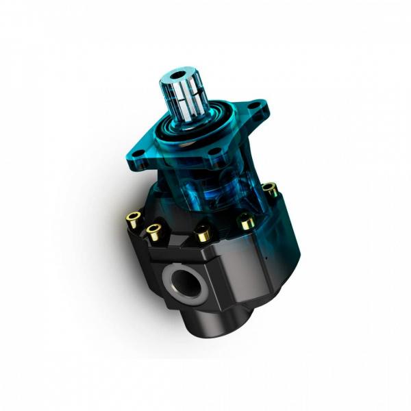 Hydraulique Pompe à Engrenage Incl. Support 34511166155 BMW 5 (E39) 525I #2 image