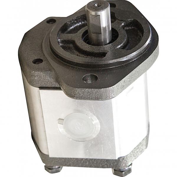 Kracht Md 80-60 Pompe à Engrenage Hydraulique 20 CM ³/ U de Puisard fmvz2 #2 image