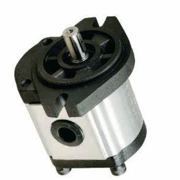 SKF EB56N2075-58 + Mmv Lubrification Pompe à Engrenage 2X2.115.105 Hydraulique #1 image