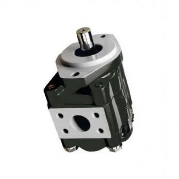 SKF EB56N2075-58 + Mmv Lubrification Pompe à Engrenage 2X2.115.105 Hydraulique #3 image