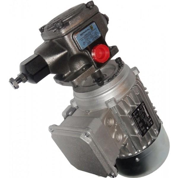 Flowfit Hydraulic Gear Pump, Standard Group 2, 4 Bolt EU Flange #3 image